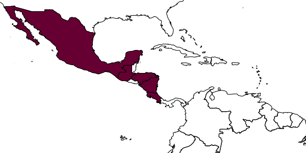 map of Adelomyrmex longinoi     Fernández, 2003
